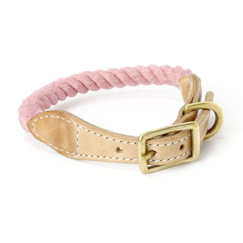 pink rope dog collar