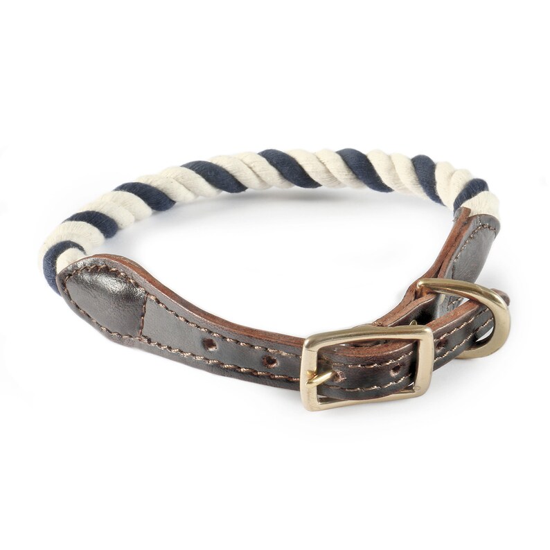 nautical rope dog collar