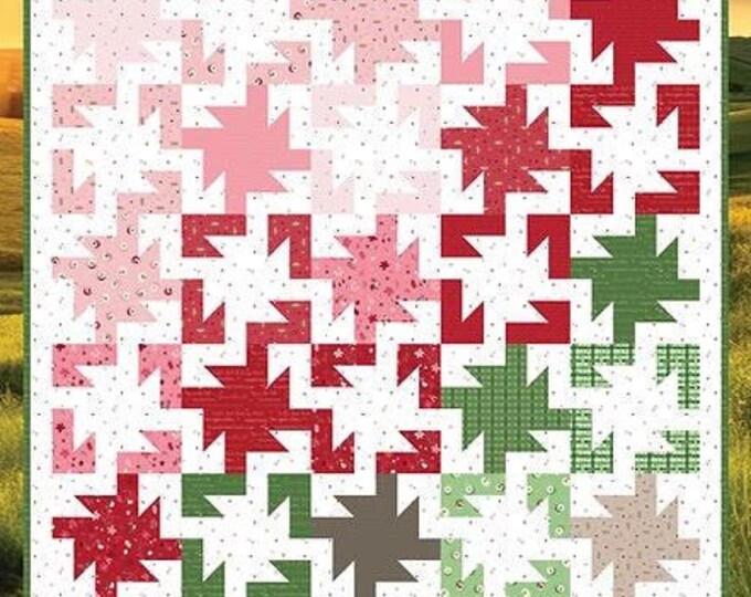 Water Lily Quilts Pattern 265 From Sew A Story / Bee Sew Inspired by ...