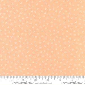 Bountiful Blooms Spring Dot Peach Yardage 37668-13 by Sherri and Chelsi Sold in 1/2 yard increments cut continiously
