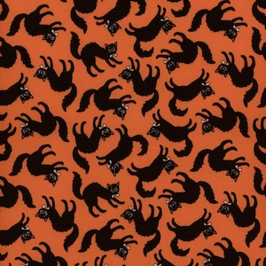 Sweet Tooth: Scaredy Cat in Orange Sweet Tooth: Scaredy Cat in Orange