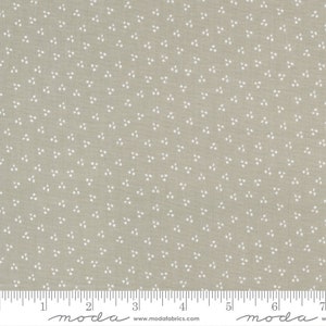 Bountiful Blooms Stone Yardage 37668-20 by Sherri and Chelsi Sold in 1/2 yard increments cut continuously