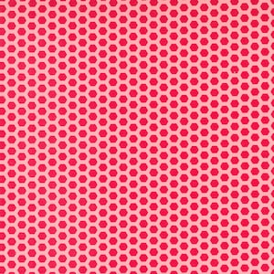 End of Bolt 55 inches - Berry Basket Honeycomb in Strawberry 24156 13  by April Rosenthal EOB 3432
