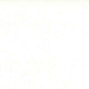 End of Bolt 17 inches - Moda Bella Solids Silky Porcelain Yardage 9900-182S by Moda Fabrics EOB 3358