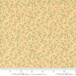 Flower Girl Meadow Buttermilk 31731-14 by Heather Briggs of My Sew Quilty Life Sold in 1/2 yard increments