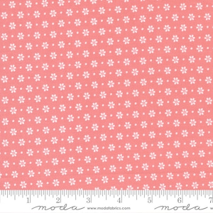 Bountiful Blooms Daisy Blush Yardage 37664-15 by Sherri and Chelsi Sold in 1/2 yard increments cut continiously