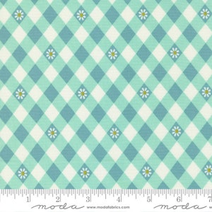 Flower Power Picnic Posies Aqua Yardage 33717-17 by Maureen McCormick Sold in 1/2 Yard Increments