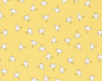 Shine Little Birdie in Sun Shine Little Birdie in Sun