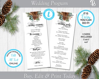 Programa de boda de piña (2 caras), programa de boda de invierno, programa de boda editable, plantilla de boda imprimible, edición en Templett, ZWPG 17271