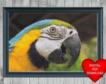 Macaw Parrot Cross Stitch Pattern, Instant PDF Download, Bird X Stitch Pattern, 14ct Aida, Embroidery Thread, Needle Thread, DMC