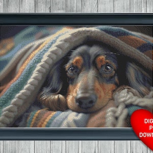 May include: A brown and black dachshund dog is curled up under a blanket. The dog's head is resting on the blanket and its eyes are closed. The blanket is a mix of brown, blue, and white.
