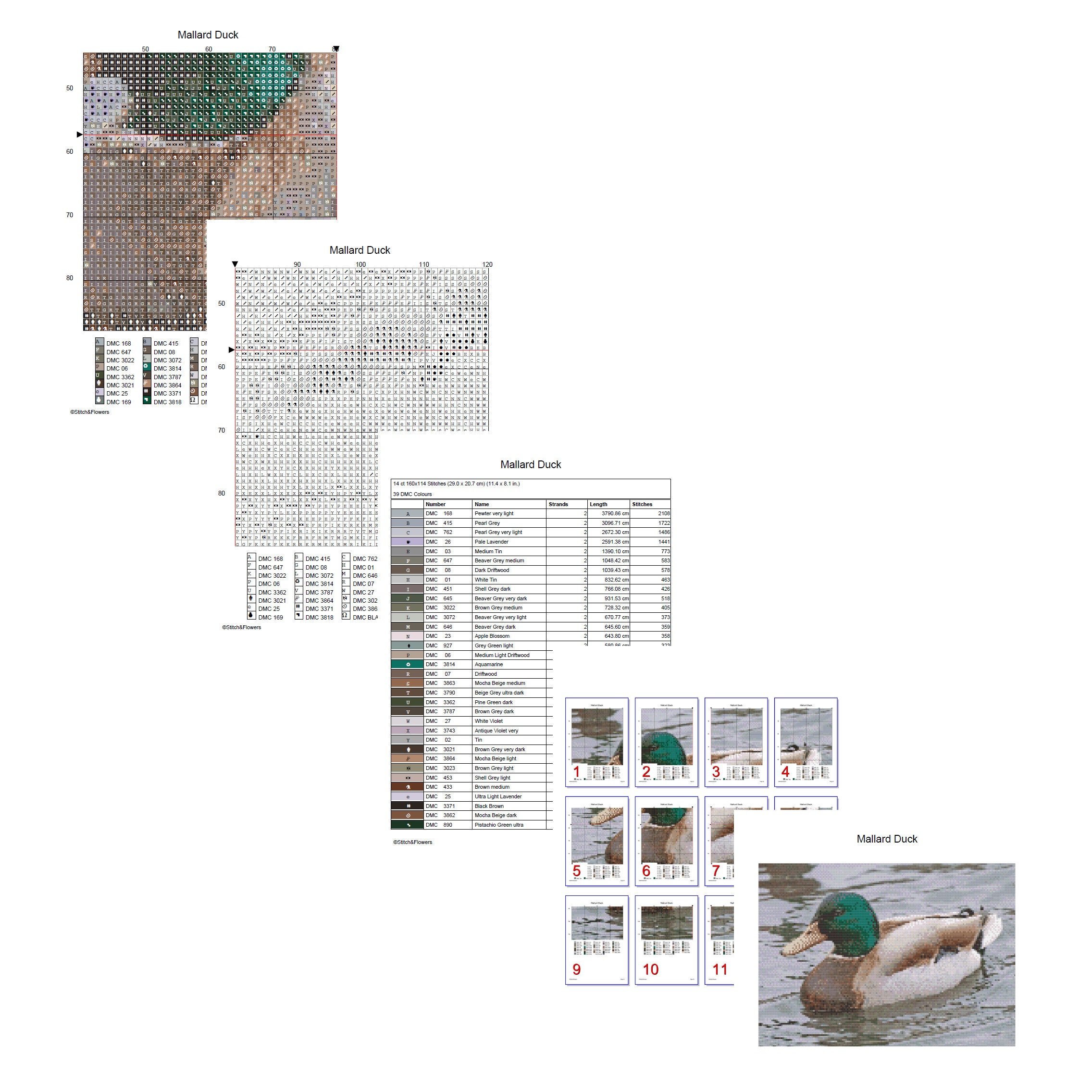 Mallard Duck Cross Stitch Pattern Instant PDF Download X Stitch