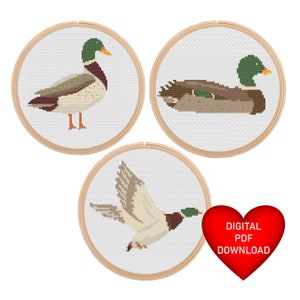 May include: Three digital cross stitch patterns of ducks in different poses. The patterns are in a hoop and are ready to be downloaded. The text "DIGITAL PDF DOWNLOAD" is in a red heart.