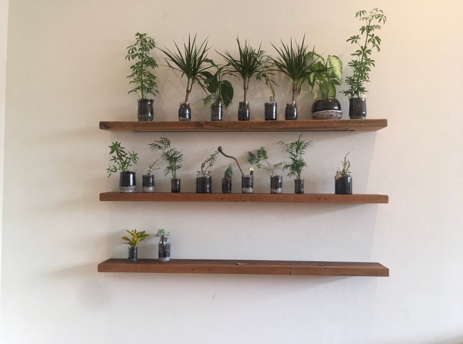 set of 3 floating shelves