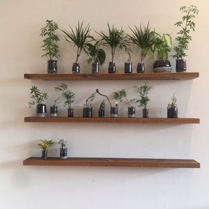 Set of 3 Floating Shelves