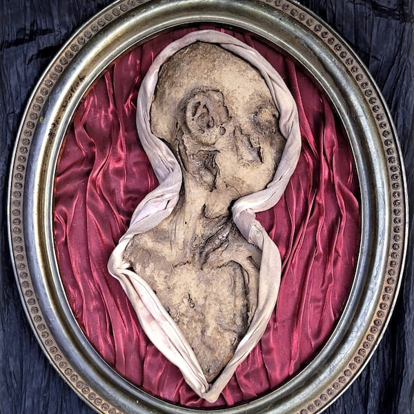 Anatomical display, reproduction of a mummified child.Oddity,macabre,Dark art, life-sized,bizzare, curiosity, anatomy, skull, oddities,death