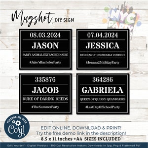 Mugshot Jail Signs, Mugshot Props, Birthday, Retirement, Bachelorette parties, Photo Booth Instant Download, Printable Mugshot Signs, CORJL