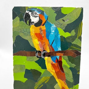 Macaw Torn Paper Collage: Colorful Bird Art (8x10)