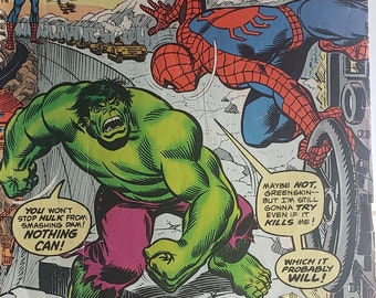 Amazing Spider Man #119 Vintage Comic Spidey Vs Hulk