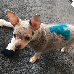 Suéter con letras para perro * Incluye medidas con el pedido * Suéter tejido personalizado para perro * Suéter hecho a pedido para perro * Suéter a medida para perro