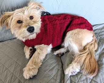 Custom Knit Cable Dog Sweater - Made to Order