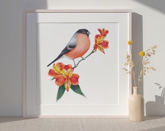 British Garden Bird Art Print - Colourful Bullfinch