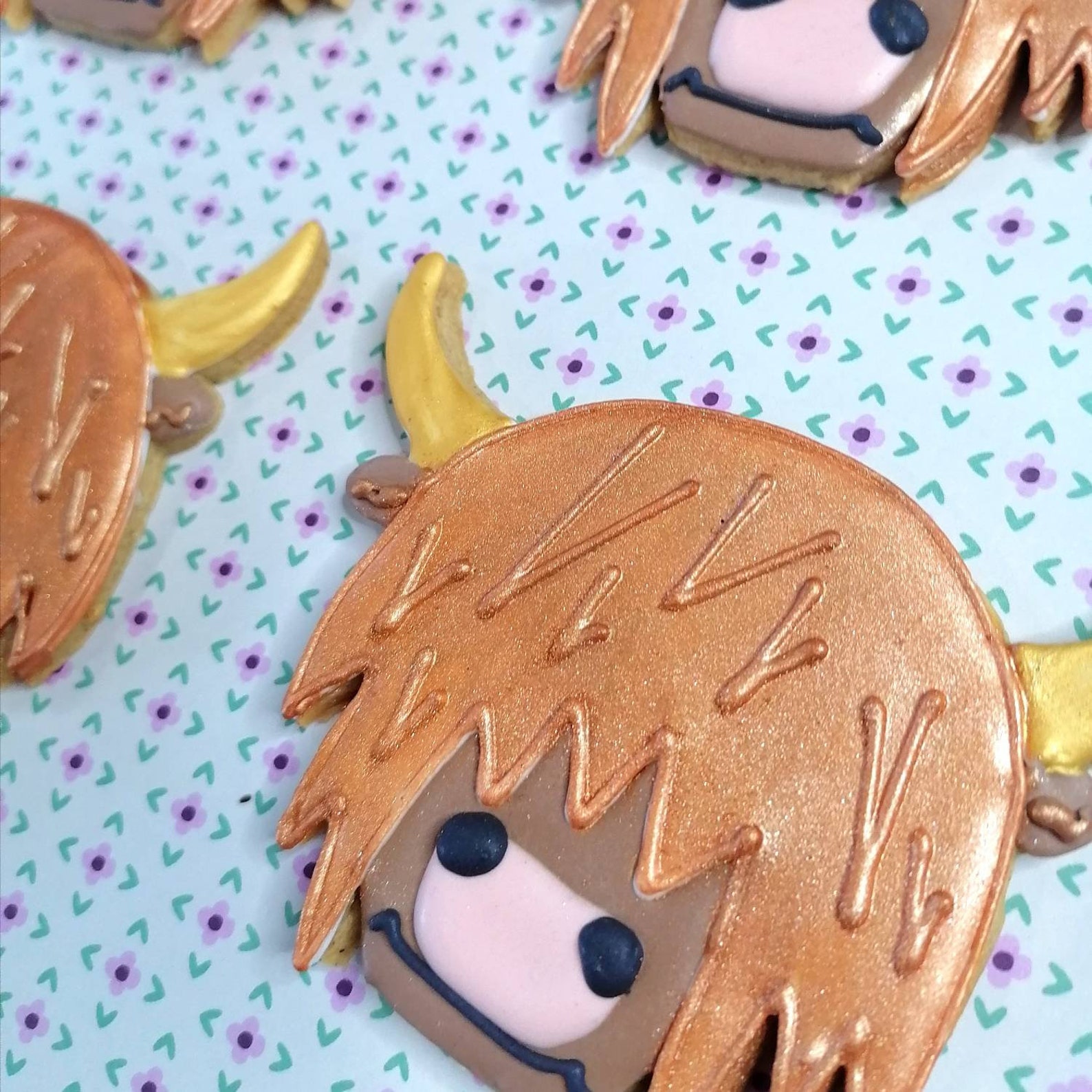 Highland Cow Biscuit Box Royal Icing Sugar Cookies Scottish Etsy