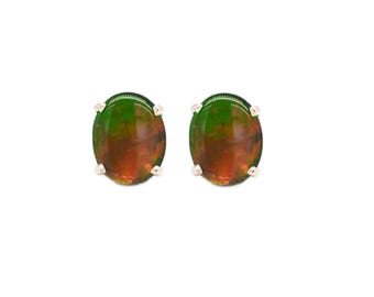Fossilized Ammolite Cab Oval 10x8mm, 4.36 Carat Stud Earring in 14K White Gold (145772)