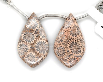 Fossil Coral Drops Leaf Shape 30x17mm Drilled Bead Matching Pair, Floral Beads, Smooth Briolettes For Earring Making (52448)