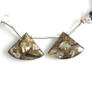 Copper Abalone Shell Drops Fan Shape 22x15mm Drilled Beads Matching Pair, Brown Color Accented With Golden Tones, Smooth Drops  (30600)