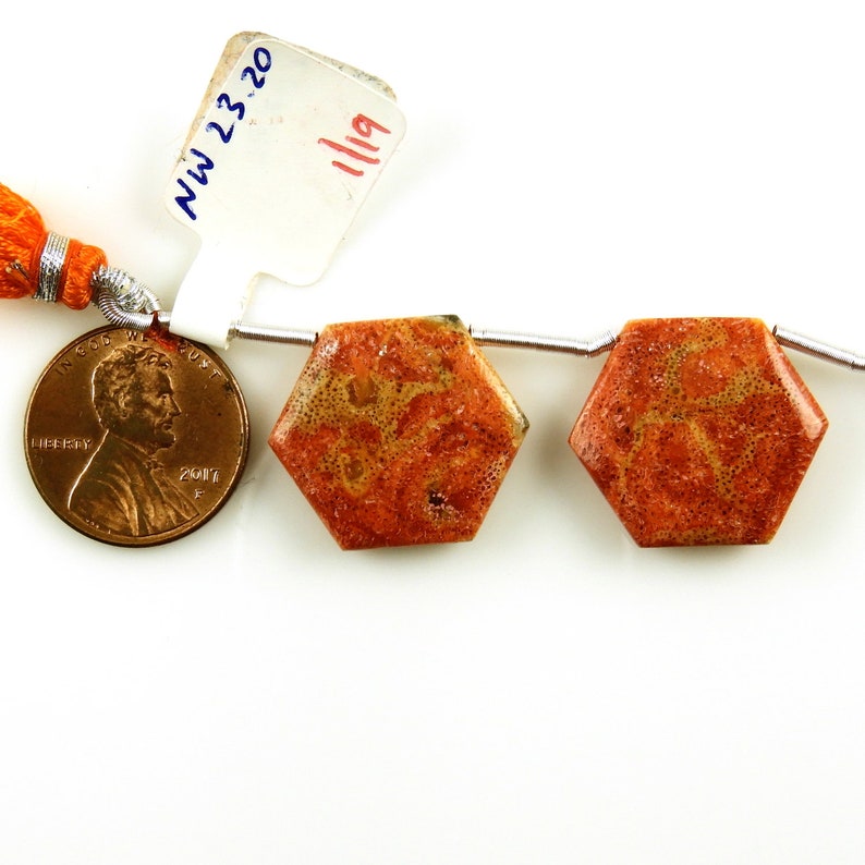 19225 Sponge Coral Drops Hexagon Shape 19x19MM Drilled Beads Matching Pair