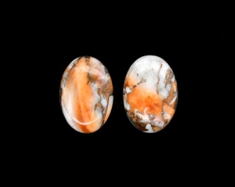 Copper Spiny Oyster Oval 14x10mm Approximately 10 Carat Matching Pair, Beautiful Orange Color, Flat Bottom Cab, For Earring Making (10993)