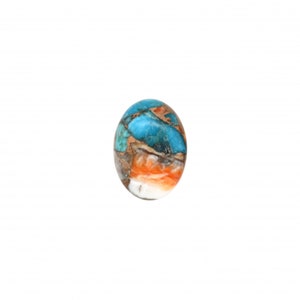 Copper Spiny Orange Oyster And Turquoise Cab Oval 18x13mm Approximately 9 Carat, Single Piece, Flat Bottom Smooth Spiny Oyster (10992)