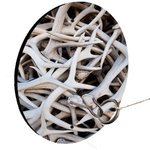 May include: A round wooden game board with a ring toss game. The board is covered in a photo of a pile of white antlers. The ring is made of metal and is attached to a string.