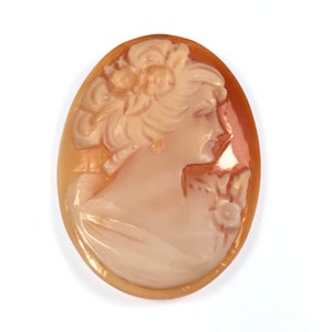 Vintage hand-carved shell Cameo / CA3279