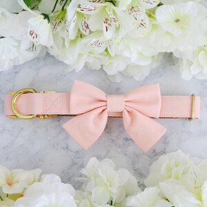 Dog Wedding Bow Collar - Light Peach - with Gold Tone Metal Buckle