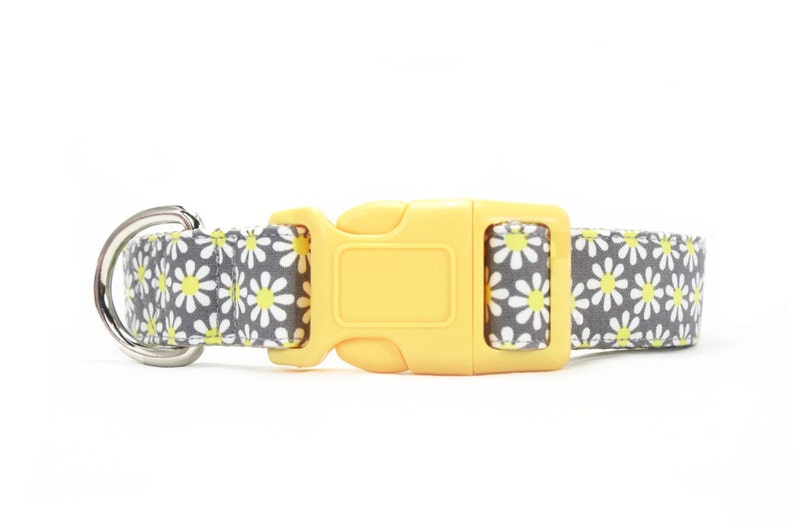 Yellow Daisy Dog Collar Girly Grey Floral Dog Collar Girl Dog Etsy