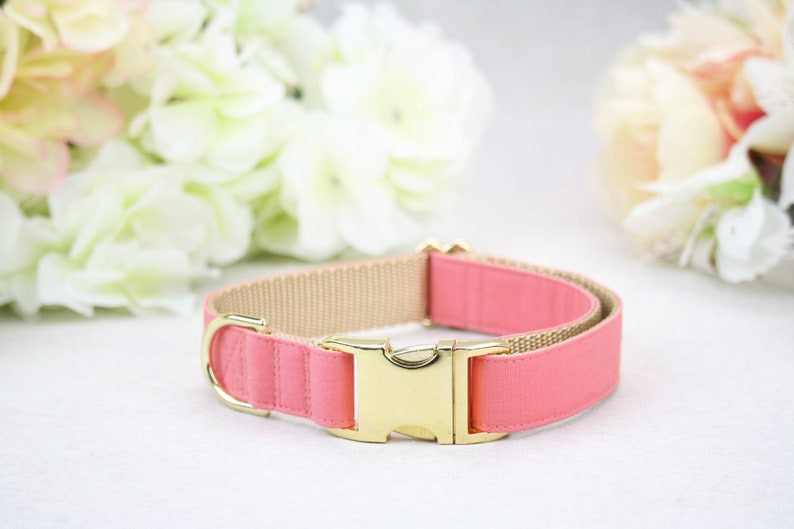 Koralle Hund Hochzeit Kragen Mädchen Hund Halsband Schleife Etsy