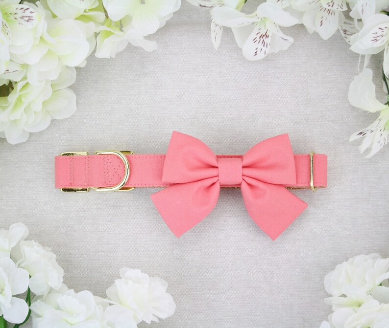 Koralle Hund Hochzeit Kragen Mädchen Hund Halsband Schleife Etsy