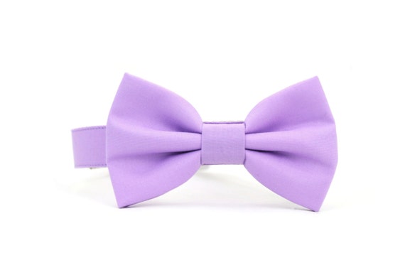 purple dog bow tie