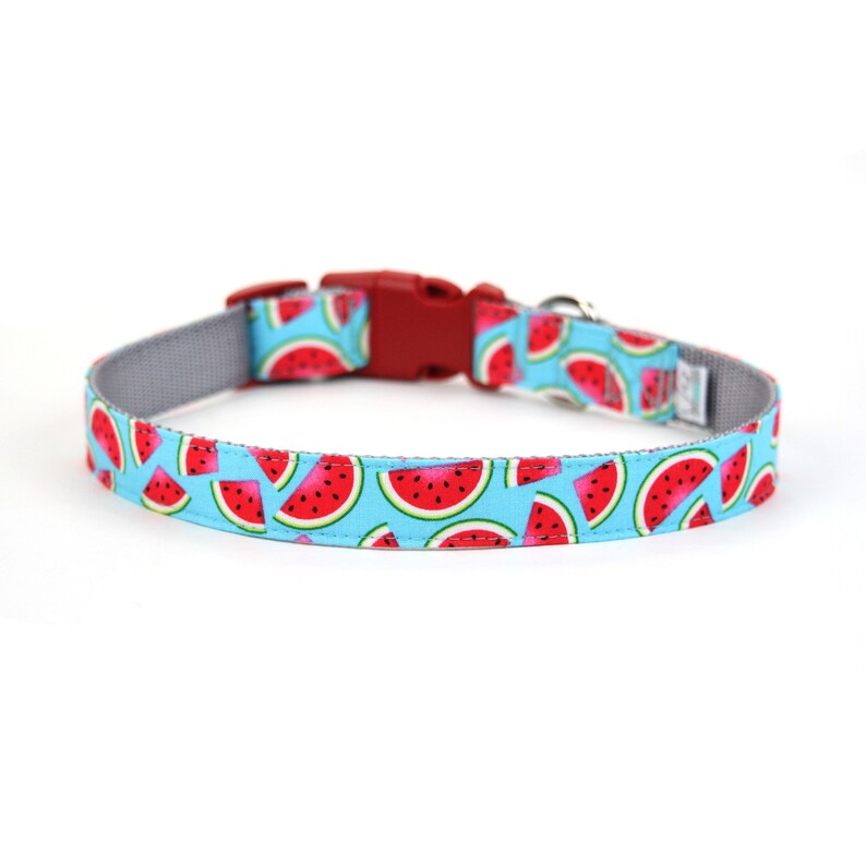 Watermelon Dog Collar 'One in a Melon' Fruit Dog Etsy