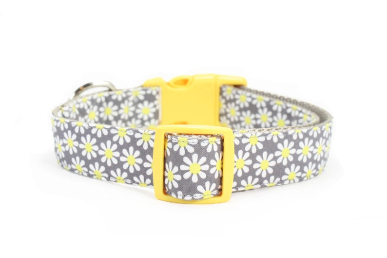 Yellow Daisy Dog Collar Girly Grey Floral Dog Collar Girl Dog Etsy