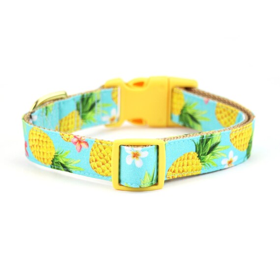 Pineapple dog collar Clearance