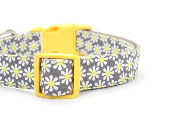 yellow daisy dog collar
