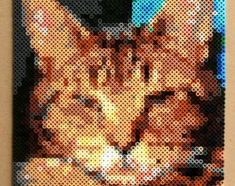 Retrato personalizado de Perler - Su propia foto pixelada personalizada - Pixel Art