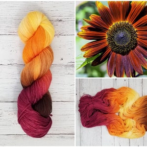 May include: A skein of hand-dyed yarn in a gradient of red, orange, yellow, and brown colors. The yarn is displayed on a white wooden surface. A close-up of a sunflower with red-brown petals is shown in the top right corner.