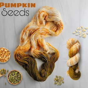 Pumpkin Seeds - Hand Dyed Variegated assigned pooling Yarn - fingering to worsted weight choose your base - white orange brown green