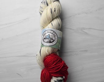 RTS Ready to Ship - W79 Worsted yarn base -exact skein shown - 100g 219 yards ultra fine SW Merino-  white and red with black speckles