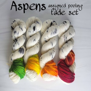 Aspen fade set - assigned pooling 3 or 4 skein set on fingering or other yarn white with black speckles and pop of green yellow orange red