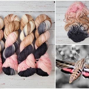 Nectar Sucker - Hand Dyed Variegated Yarn - fingering to worsted weight choose your base